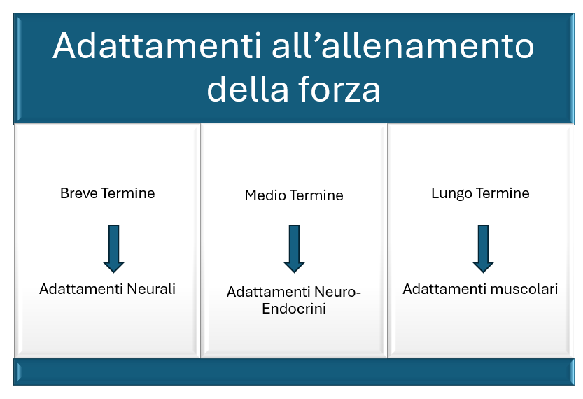 Le differenze di genere nell'allenamento della Forza - Andrea Benvenuti